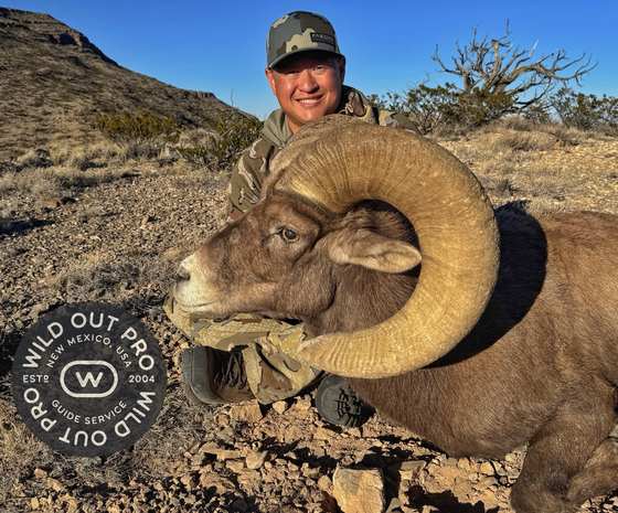 Desert bighorn ram taken on a guided New Mexico hunt with Wild Out Pro Guide Service