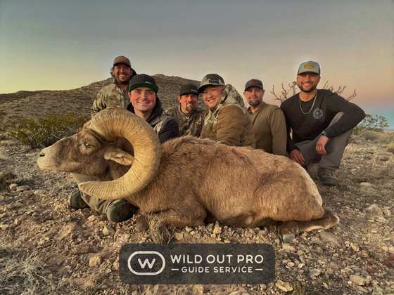 Desert bighorn ram taken on a guided New Mexico hunt with Wild Out Pro Guide Service
