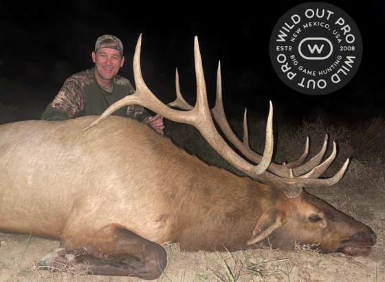 Bull elk taken on a guided hunt with Wild Out Pro Guide Service in New Mexico
