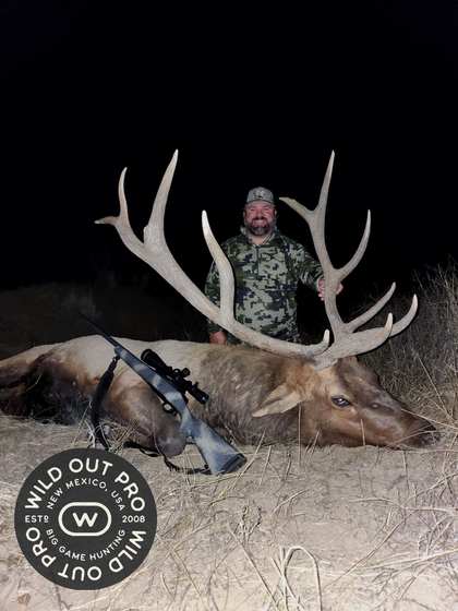 Bull elk taken on a guided hunt with Wild Out Pro Guide Service in New Mexico