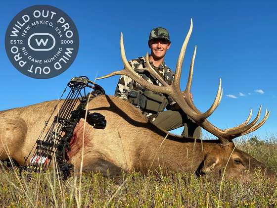 Bull elk taken on a guided hunt with Wild Out Pro Guide Service in New Mexico