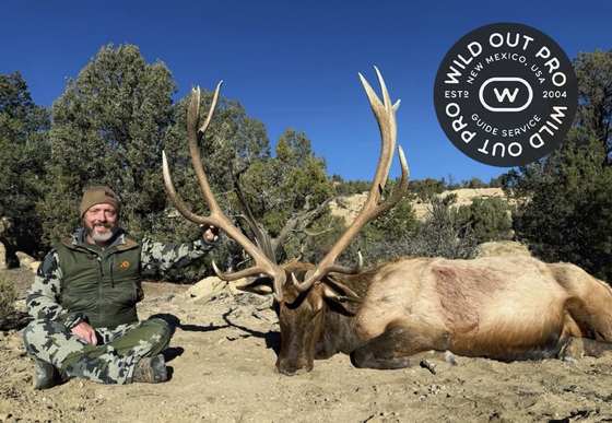 Bull elk taken on a guided hunt with Wild Out Pro Guide Service in New Mexico