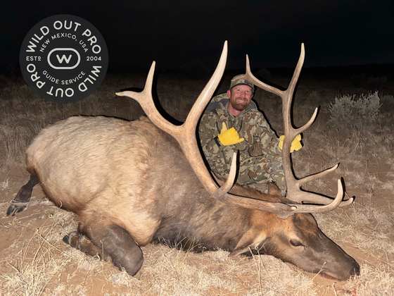 Bull elk taken on a guided hunt with Wild Out Pro Guide Service in New Mexico
