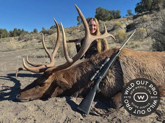 Bull elk taken on a guided hunt with Wild Out Pro Guide Service in New Mexico