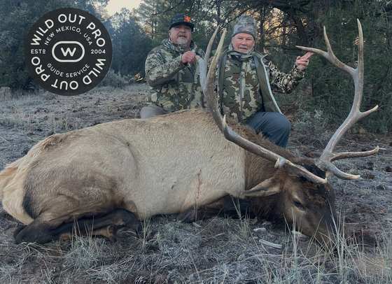 Bull elk taken on a guided hunt with Wild Out Pro Guide Service in New Mexico