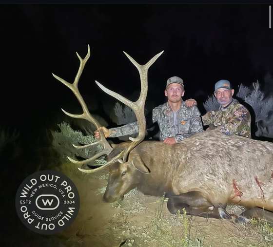 Bull elk taken on a guided hunt with Wild Out Pro Guide Service in New Mexico