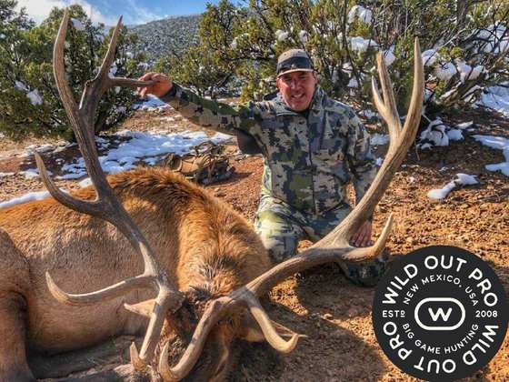 Bull elk taken on a guided hunt with Wild Out Pro Guide Service in New Mexico
