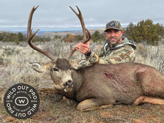 Mule deer and coues deer taken on guided New Mexico hunts with Wild Out Pro