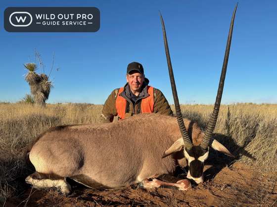 Oryx taken on a guided New Mexico hunt with Wild Out Pro Guide Service