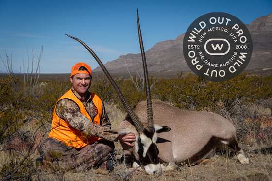 Bighorn sheep, Persian ibex, barbary sheep and oryx taken on guided New Mexico hunts