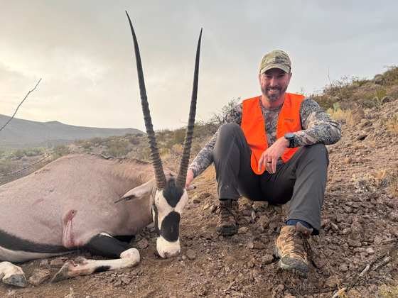 Bighorn sheep, Persian ibex, barbary sheep and oryx taken on guided New Mexico hunts