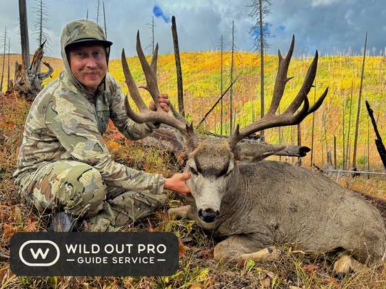 Mule deer and coues deer taken on guided New Mexico hunts with Wild Out Pro