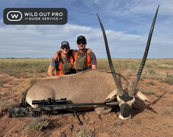 Bighorn sheep, Persian ibex, barbary sheep and oryx taken on guided New Mexico hunts