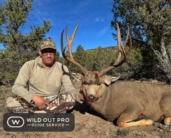 Mule deer and coues deer taken on guided New Mexico hunts with Wild Out Pro