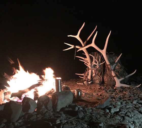 Guides and camp life with Wild Out Pro Guide Service in New Mexico