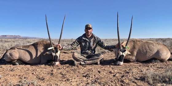 Bighorn sheep, Persian ibex, barbary sheep and oryx taken on guided New Mexico hunts
