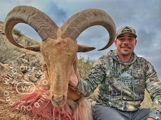 Bighorn sheep, Persian ibex, barbary sheep and oryx taken on guided New Mexico hunts