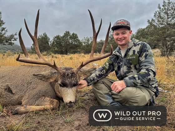 Mule deer and coues deer taken on guided New Mexico hunts with Wild Out Pro