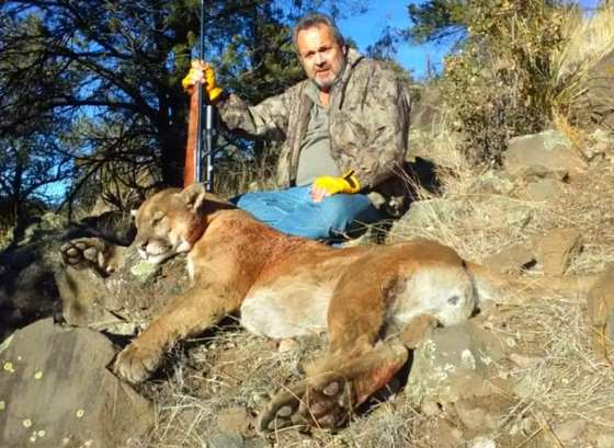 New Mexico mountain lion taken on a guided hound hunt with Wild Out Pro Guide Service
