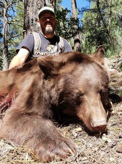 Black bear and mountain lion taken behind hounds in New Mexico with Wild Out Pro