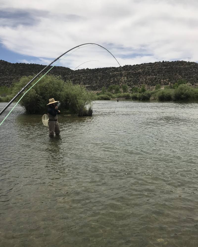Fly angler wading and casting on the San Juan River
